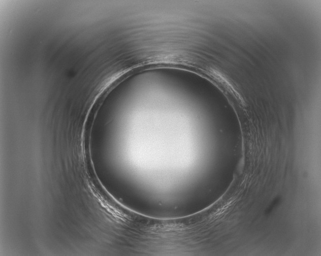 X0000058780884200510071606