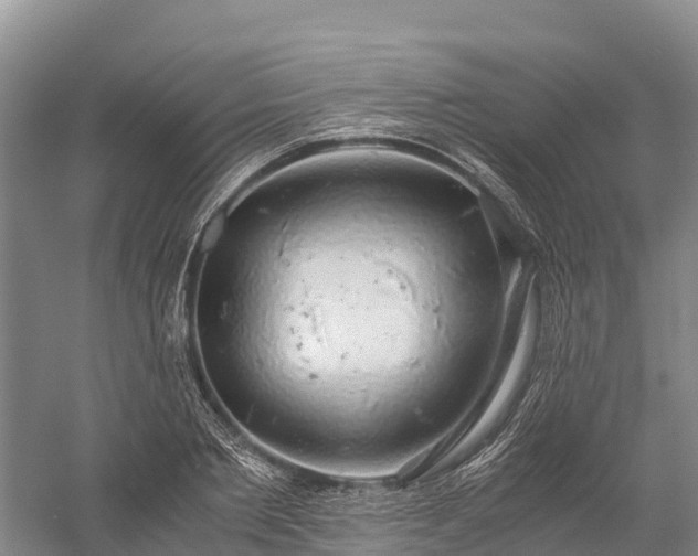 X0000058780885200510071606