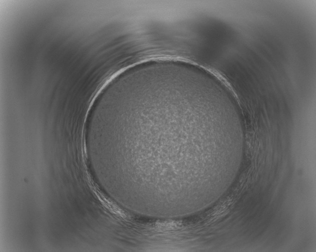 X0000058780887200510071606