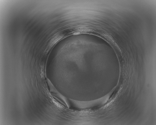 X0000058780889200510071606