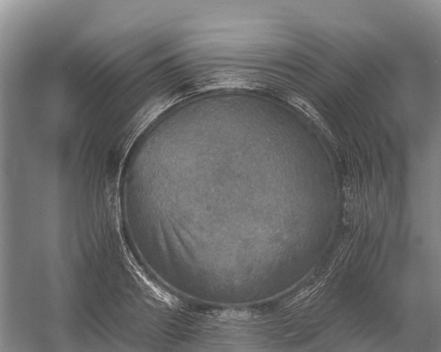 X0000058780890200510071606