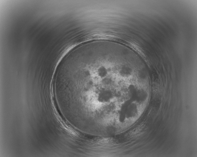 X0000058780891200510071606