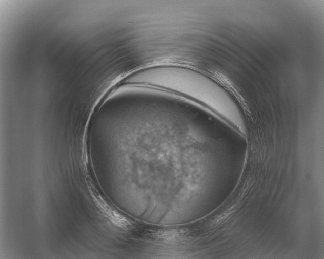 X0000058780892200510071606