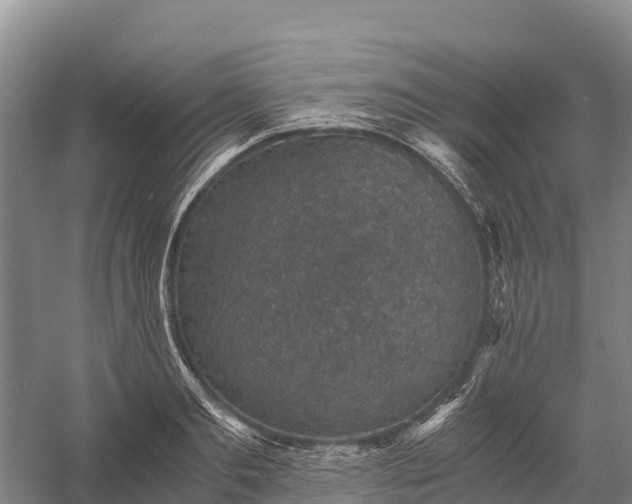 X0000058780893200510071606