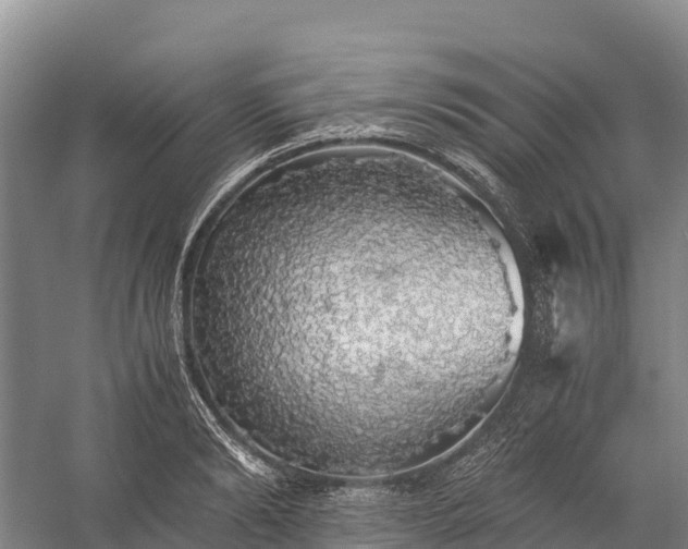 X0000058780894200510071606