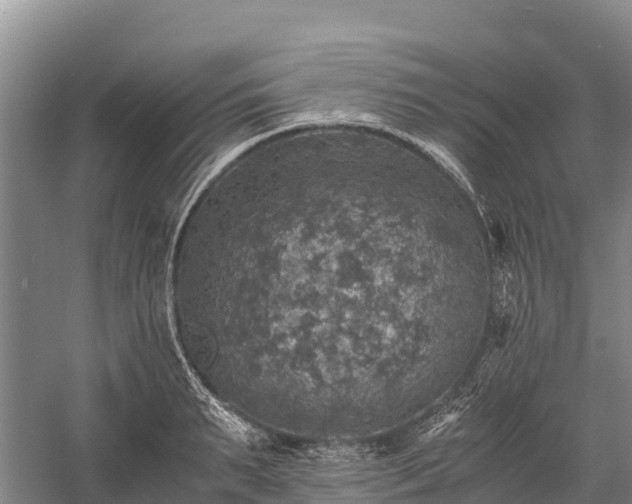 X0000058780895200510071606