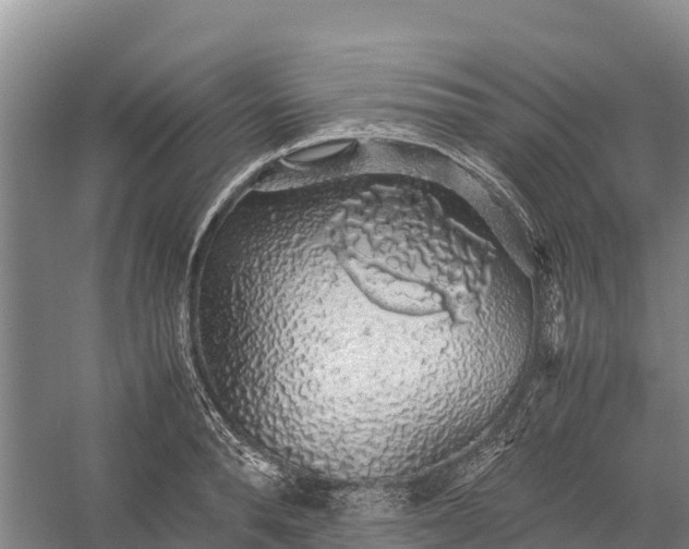 X0000058780896200510071606