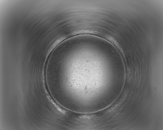 X0000058780898200510071606