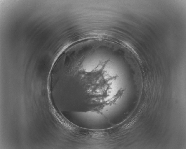 X0000058780899200510071606