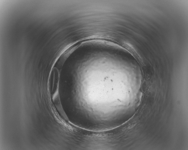 X0000058780900200510071606