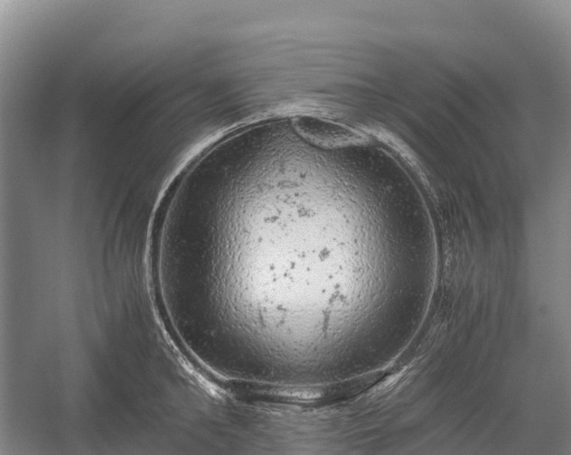 X0000058780902200510071605