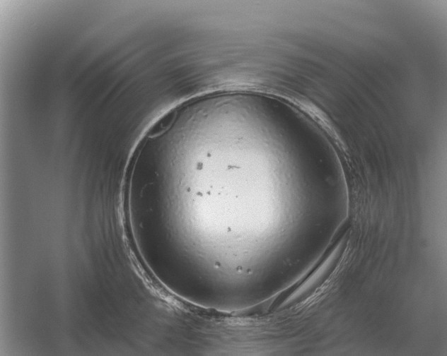 X0000058780904200510071605