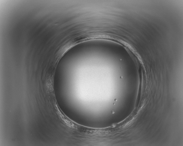 X0000058780905200510071605