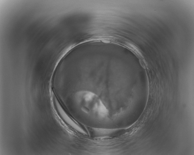 X0000058780907200510071605