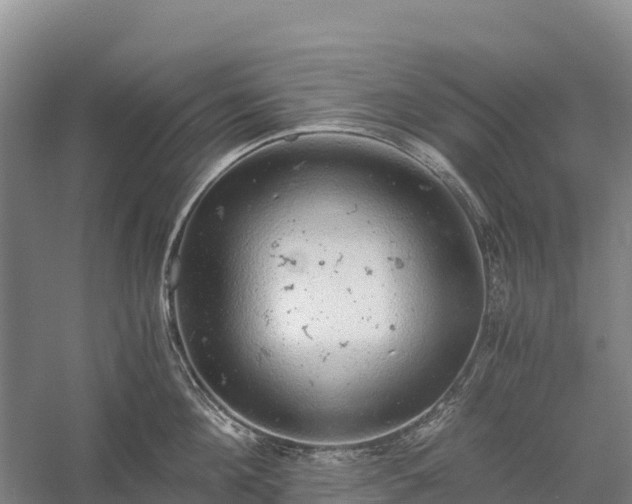 X0000058780908200510071605