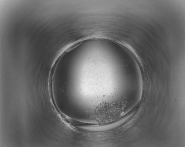 X0000058780910200510071605