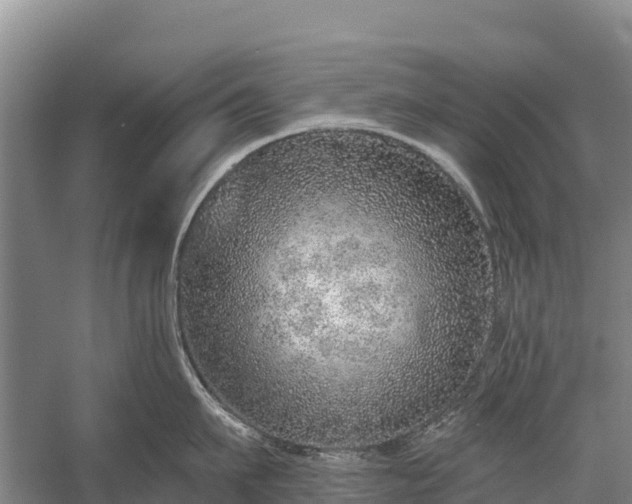 X0000058780911200510071605