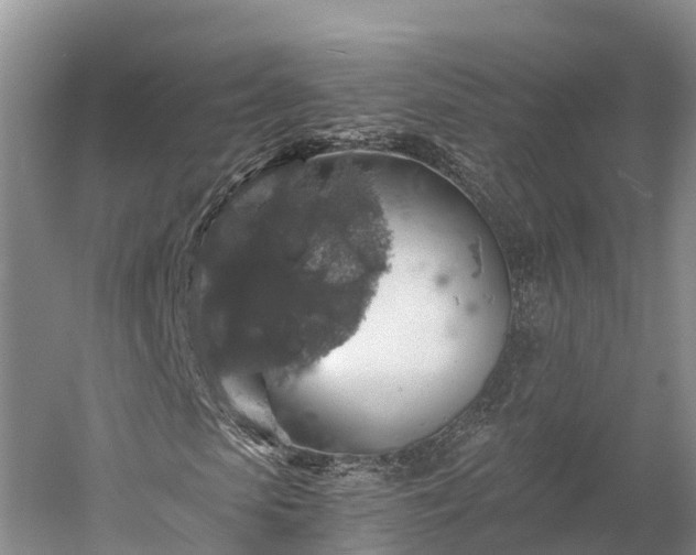 X0000058780913200510071604