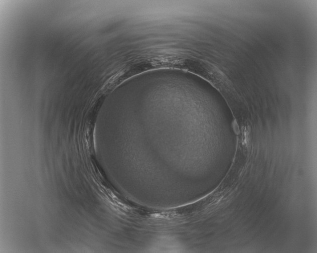 X0000058780915200510071605