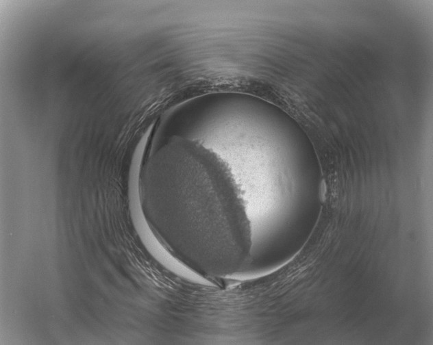 X0000058780916200510071605