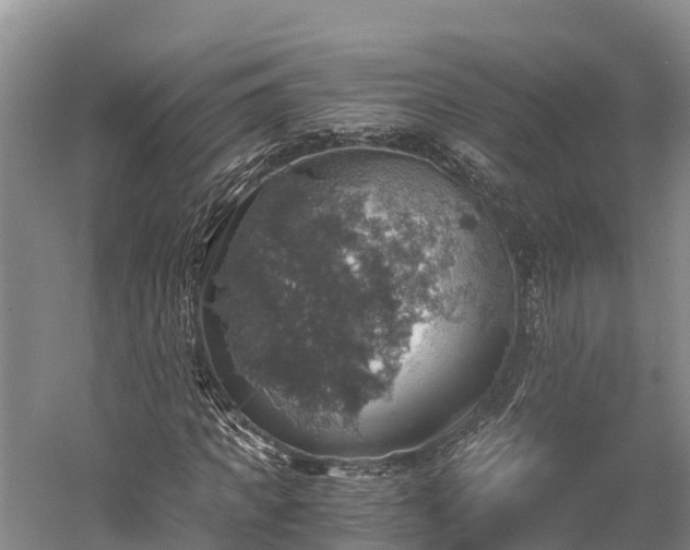 X0000058780917200510071605