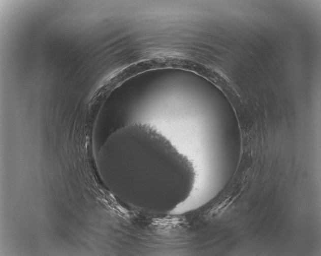 X0000058780919200510071605