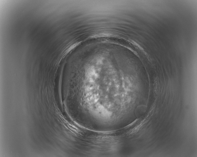 X0000058780921200510071605