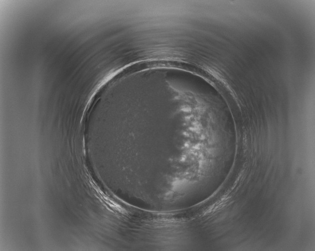 X0000058780925200510071605