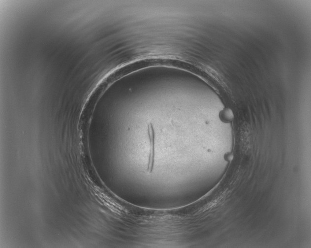 X0000058780926200510071605