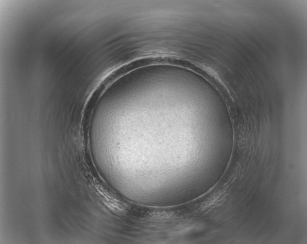 X0000058780927200510071605