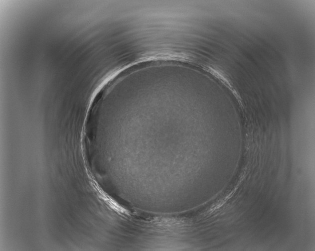 X0000058780928200510071605