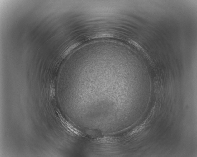 X0000058780929200510071605