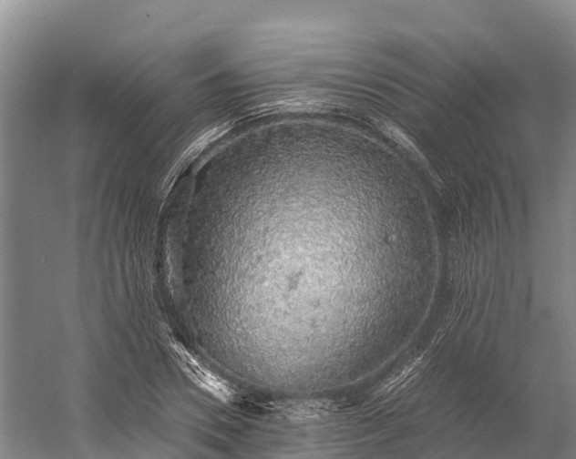 X0000058780930200510071605