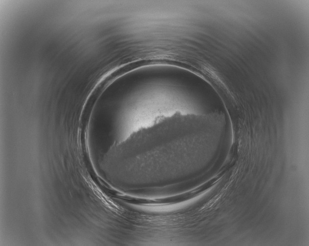 X0000058780932200510071605