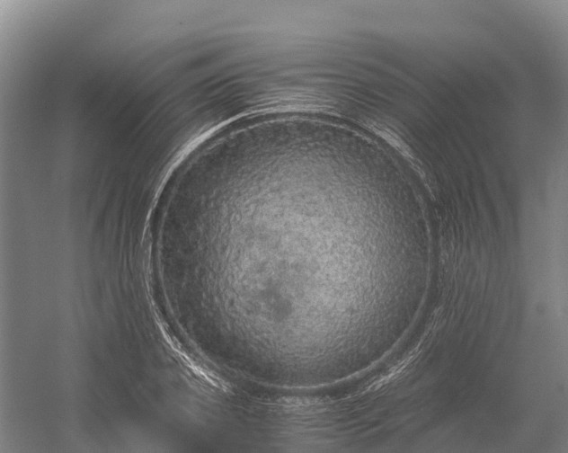 X0000058780933200510071605