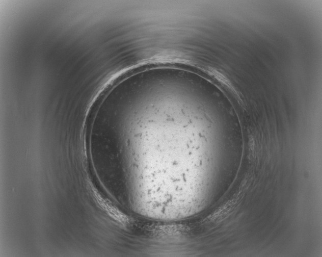 X0000058780934200510071605