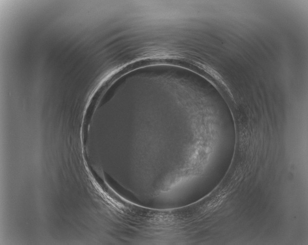 X0000058780935200510071605