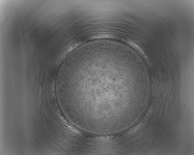 X0000058780937200510071605