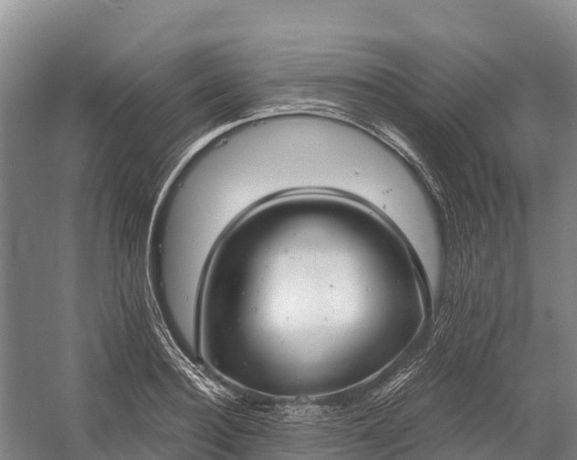 X0000058780940200510071605