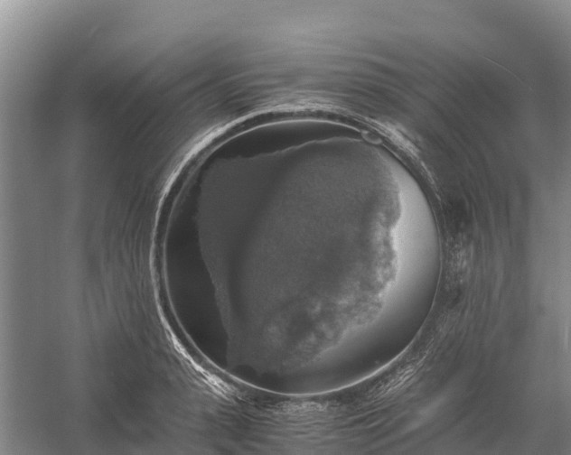 X0000058780943200510071605