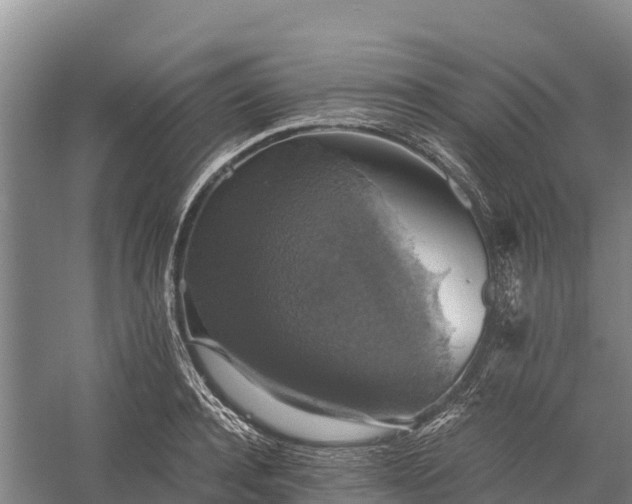 X0000058780944200510071605