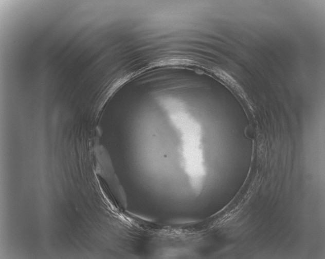 X0000058780945200510071605