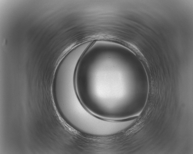 X0000058780946200510071605