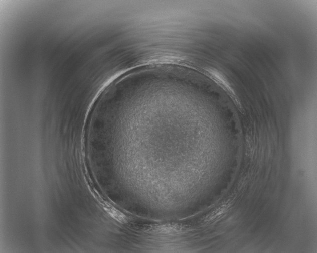 X0000058780948200510071605