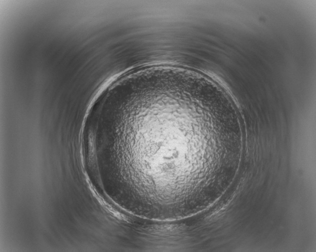 X0000058780949200510071605