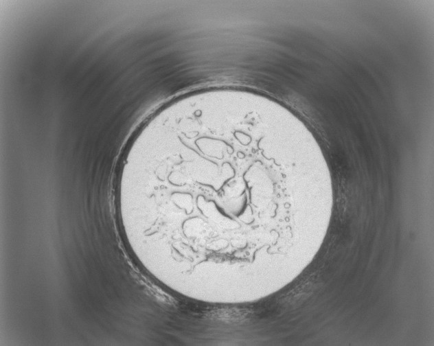 X0000058780950200510071605