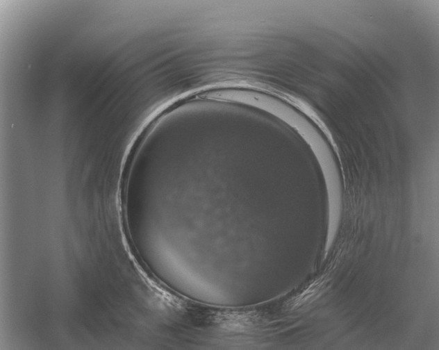 X0000058780951200510071605