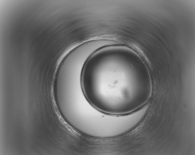 X0000058780952200510071605