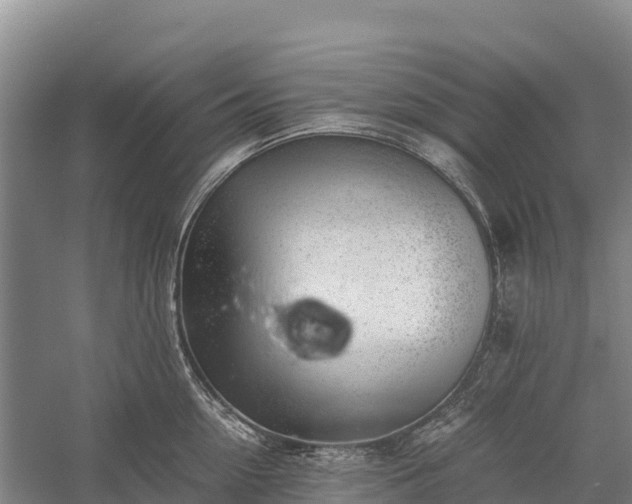 X0000058780954200510071605