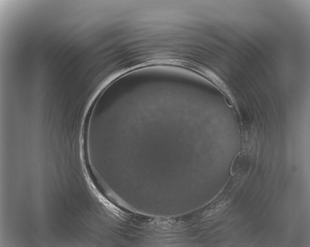 X0000058780955200510071605